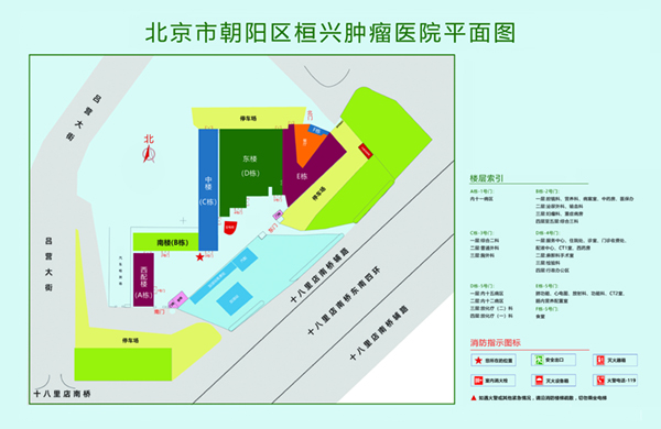 操逼操逼操大逼北京市朝阳区桓兴肿瘤医院平面图